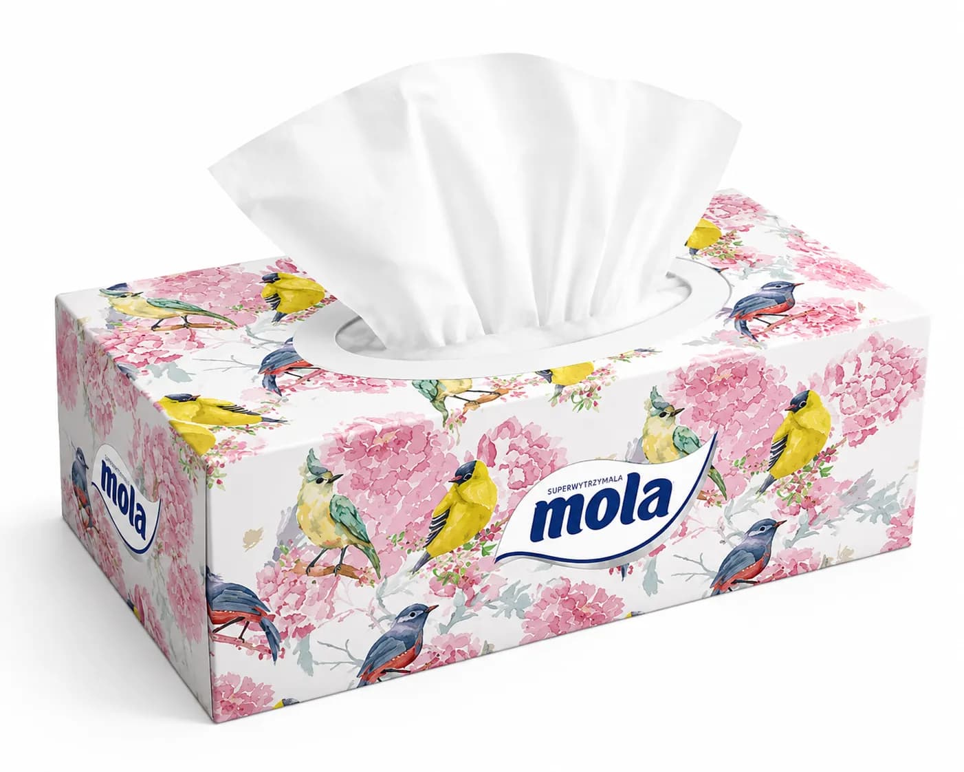 Chusteczki MOLA`150 BOX FAMILY 2-WARSTWOWE-celuloza