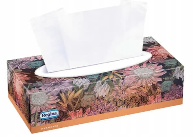 Chusteczki kosmetyczne REGINA 100 szt. HARMONIA BOX